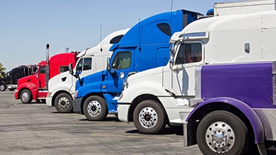 multiple trucks lined up
